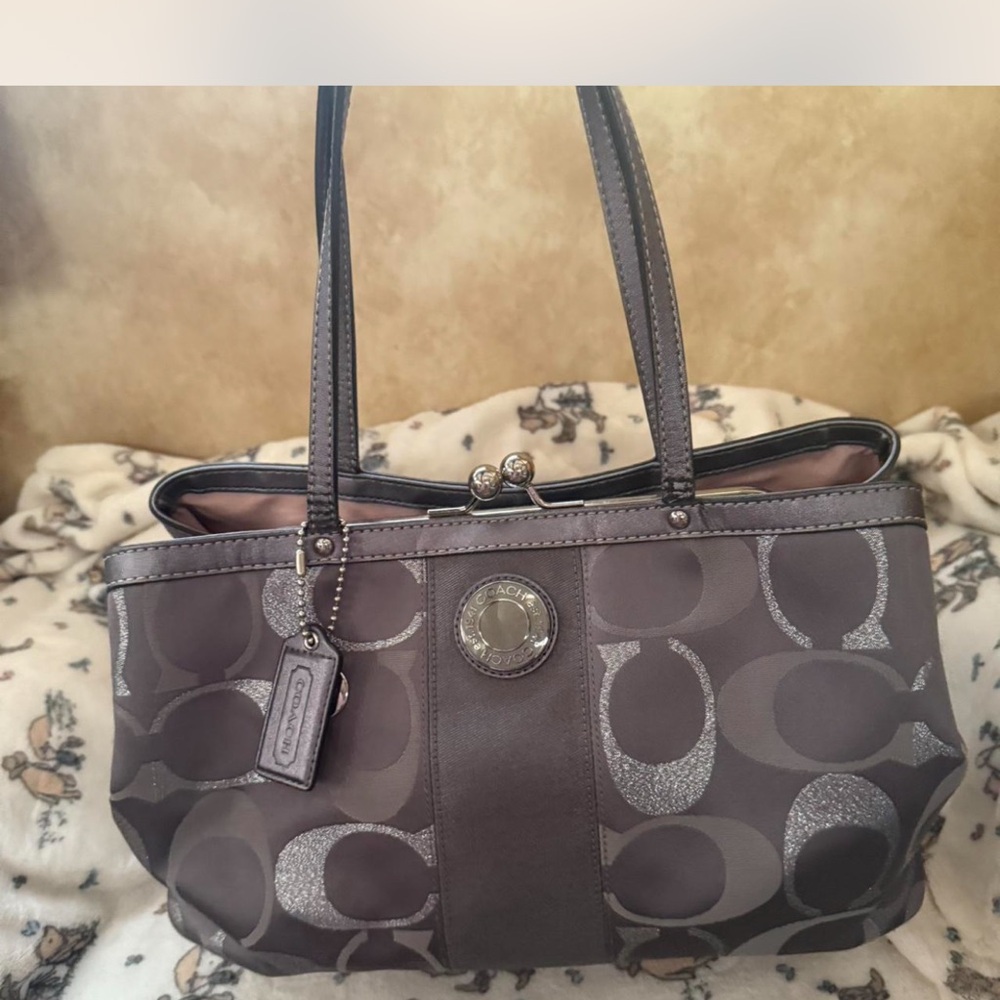 Coach Metallic Gray Signature Shoulder Bag
